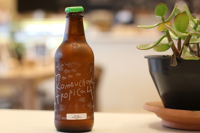 kombucha – fermentovaný nápoj.jpg