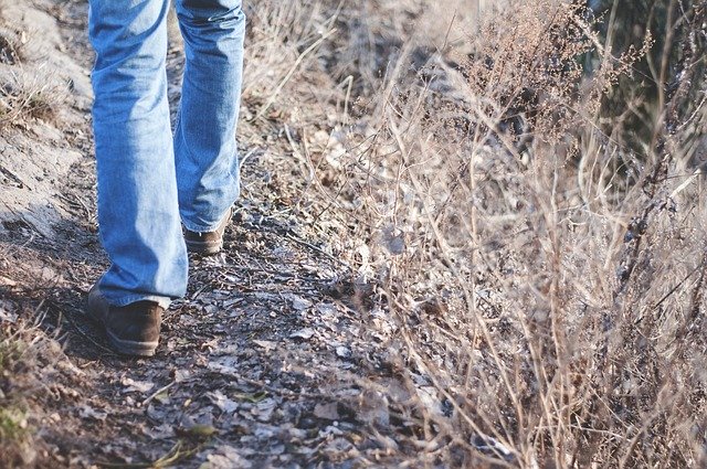 Muž kráča po lesnej ceste medzi suchou trávou.jpg